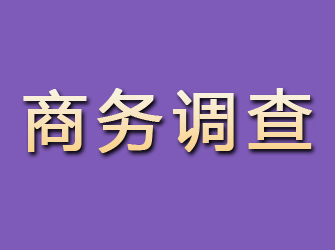 隆安商务调查